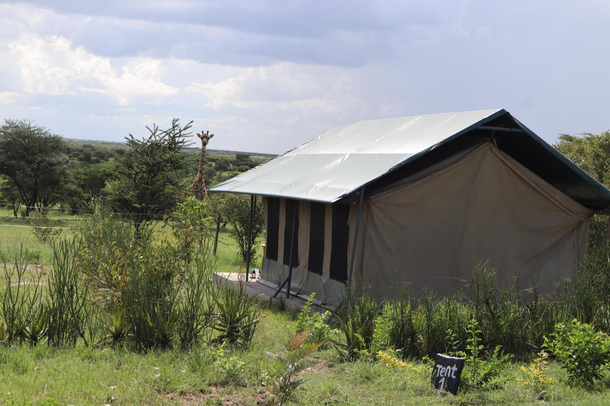 Kambu Mara Camp Hotel Sekenani Екстериор снимка